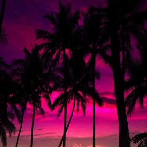 دانلود آهنگ فانک МАТУШКА ultrafunk Remix – Татьяна Куртукова (همه ورژن ها)