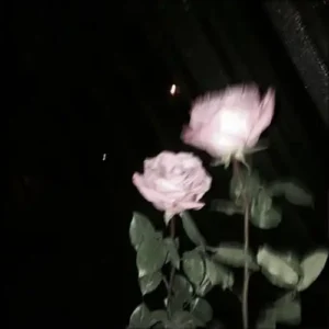 Lovely Bastards X Meet The Frownies – Jsthebg پوستر آهنگ فانک