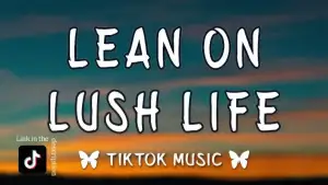LEAN ON x LUSH LIFE Tiktok Remix [Jr Stit Mashup](Lyrics) Zara Larsson, Major Lazer. Tiktok-standard v2-1080w