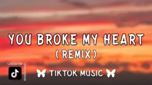 you broke my heart Remix – kobzx2z, Myla & Kryd (Hoodtrap ⧸ Mylancore Remix) {Lyrics}-standard v2-1080w
