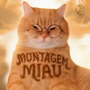 Montagem Miau از Lenar