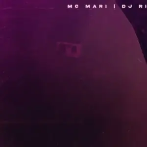 Na Favelinha - Mc Mari, DJ RIC, DJ Mxce & DJ Tavares