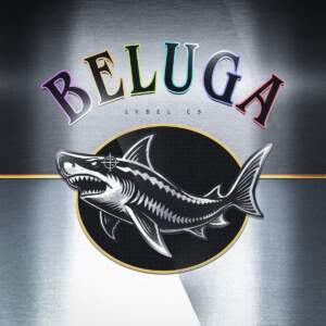 vODKA BELUGA - Lvbel C5 & AKDO