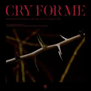 Cry-For-Me-Twice.webp