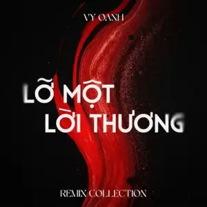 Lo-Mot-Loi-Thuong-air-Remix-Vy-Oanh.webp
