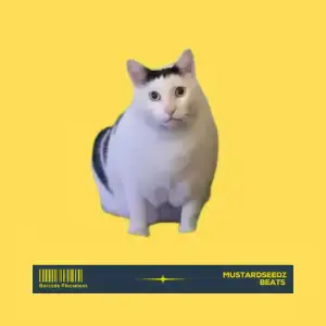 Meow-Meow-Funk-Mustardseedz.webp