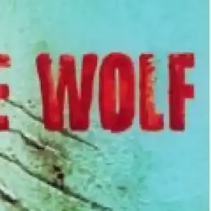 She-Wolf-Shakira.webp