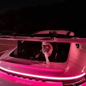Acelerada-极致压迫-Dj缪斯.webp