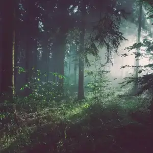 Kerosene-slowed-Reverb-Otis-Hudson-Vinylz.webp