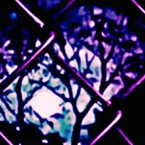 Witiwant-super-Slowed-Saraunh0ly.webp