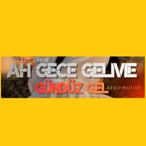 Ah-Gece-Gelme-Gunduz-Gel-Dilsah-Celik.webp