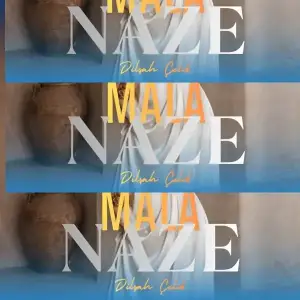 Mala-Naze-le-Zirave-Dilsah-Celik.webp