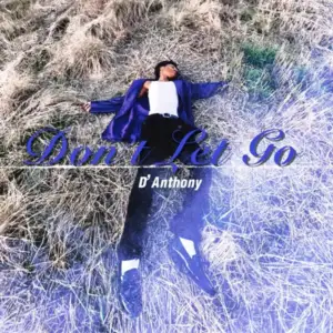 Dont-Let-Go-Danthony.webp