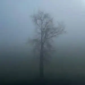 Poison-Tree-ambient-Rework-Eleftherios-Glo-Exhibit.webp Poison-Tree-ambient-Rework-Eleftherios-Glo-Exhibit.webp