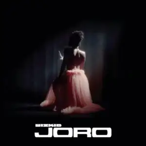 Joro-Wizkid.webp Joro-Wizkid.webp