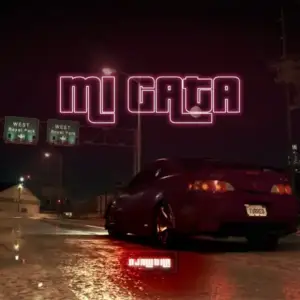 Mi-Gata-turreo-Edit-Dj-Mutha.webp